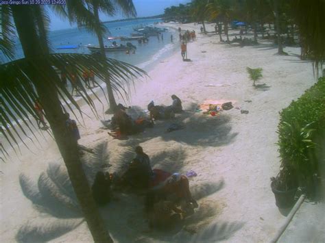 akumal bay webcam|Webcam Akumal: Akumal Beach Webcam